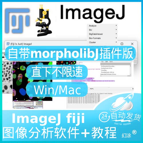 ImageJ 自带morpholibJ插件分析 Fiji morpholib J Win Mac苹果