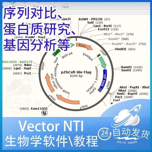 Vector NTI Advance 11.5.3 序列分析生物工程学永久版 送教程