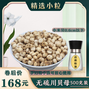 贝母粉 平贝无硫小粒500克 小贝母 包邮 米贝 中药材种植川贝母