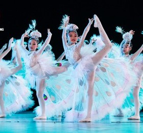 第八届小荷风采儿童演出服小白翎舞蹈表演服元旦白色孔雀服女包邮