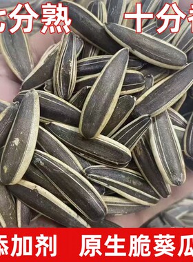 【大颗粒】生脆葵瓜子7分熟原汁原味熟葵瓜子无添加坚果零食炒货