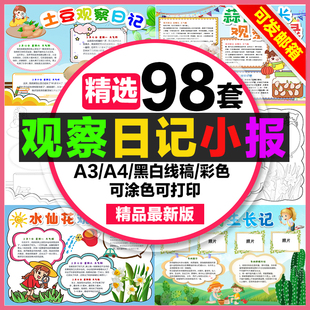 观察日记手抄报小学生电子小报青蛙蒜苗蚕成长叶脉蜗牛观察记录a4