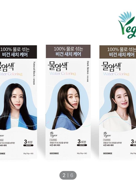 韩国直邮 SEEDBEE 水染发 植物成分 温和不刺激 遮盖白发