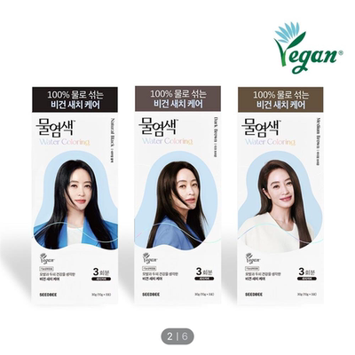 韩国直邮 SEEDBEE 水染发 植物成分 温和不刺激 遮盖白发