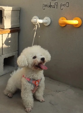 墙栓把手U型停狗位上墙宠物栓绑桩奶茶咖啡店大狗PetDogParking