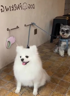 不锈钢停狗位奶茶咖啡甜品宠物店打卡服装店休息场栓绑桩泊狗位子