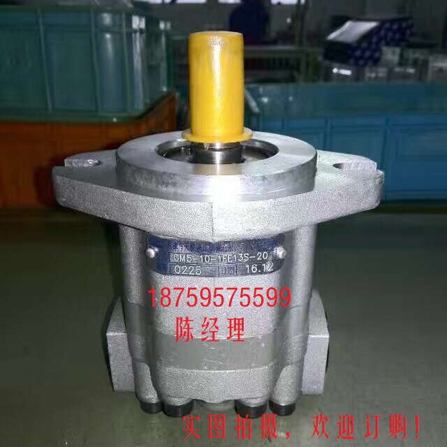 GM5-10-1FE13S-20天津天机液压机械有限公司GM5-12-1FE13S-20