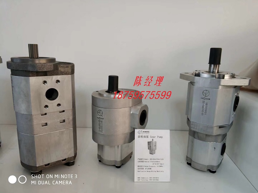 CBTSA-F310/F310/F305合肥皖液液压元件有限公司液压齿轮泵油泵