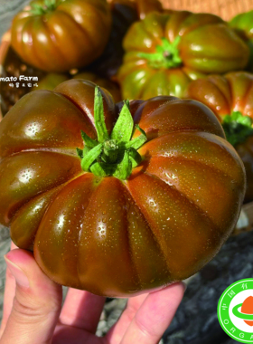 【顺丰京东】Butter Tomato有机奶油牛排番茄马蹄非转基西红柿