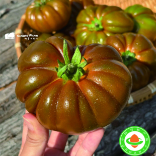 Tomato有机奶油牛排番茄马蹄非转基西红柿 Butter 顺丰京东