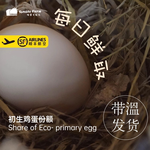 初生鸡蛋份额 | 特冒头自产* Share of Eco- primary egg上海生态