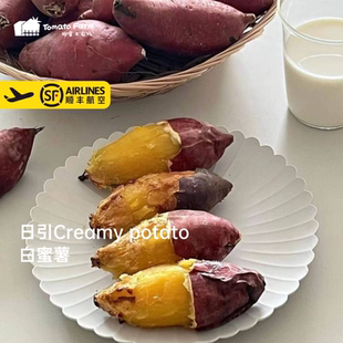 推荐烤日引奶油白蜜薯细腻无丝甜度高当季白心红薯冰淇淋  · 5斤