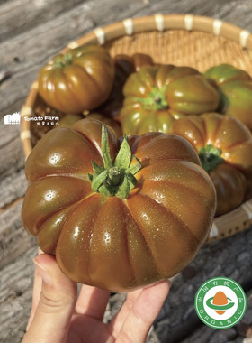 【顺丰京东】Butter Tomato有机奶油牛排番茄马蹄非转西红柿即食