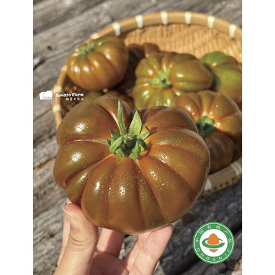 ButterTomato奶油牛排番茄