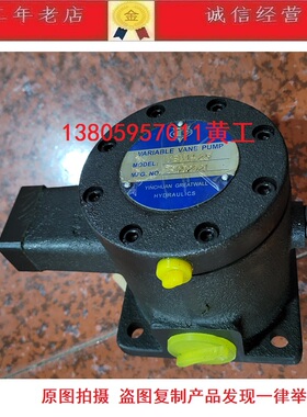 银川长城液压叶片泵YBP-40 YBP-40B YBN-20N-JB DYBP-20D YBN1-25