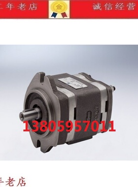 HOYEA内啮合齿轮泵IGP-3-32 IGP-3-40 IGP-3-50 IGP-3-64