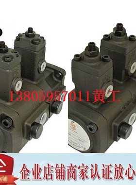 台湾大生TA SHENG双联叶片泵油泵VTAD-F2020-A2 VTAD-F2020-A3 A1