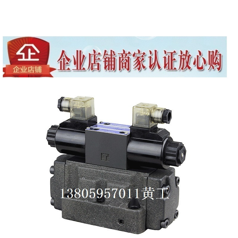 LITAND LYOUTIAN电磁阀SW-G06-C9-A240-10/20 G04 D24 E ET T G10