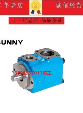 SUNNY桑尼士叶片泵45V66A-1D22R 45V60A 45V57A 45V50A 45V45A