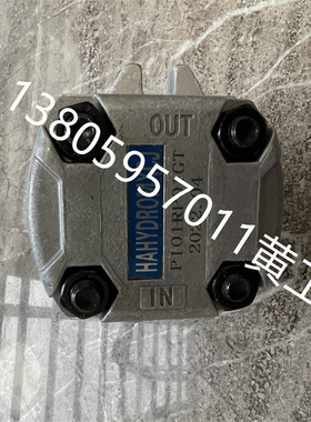 齿轮泵P105RP01G P106RP01G P107RP01G P108RP01G P109RP01G GT