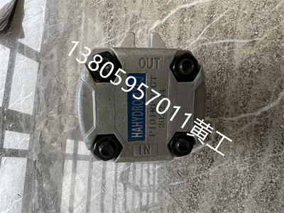 齿轮泵P105RP01GP106RP01G