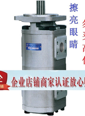 合肥长源双联齿轮油泵CBG2050/2040-BFHR BFPR
