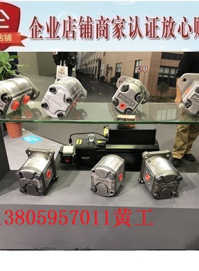 钰盟HONOR齿轮泵1KH1N03R/L 1KS1N03R/L 1KH1N37R/L 1KS1N37R/L