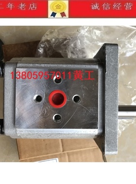 SUORUI索瑞油泵齿轮泵CBN-F304 CBN-F306 CBN-F308 CBN-F310