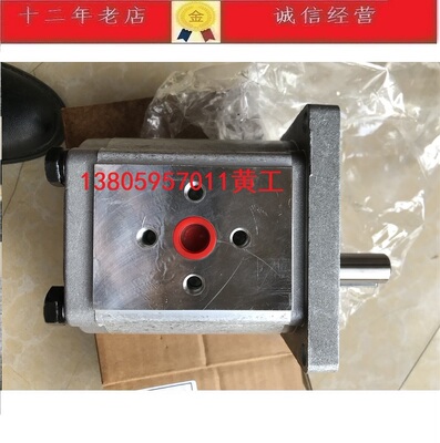 SUORUI索瑞油泵齿轮泵CBN-F325 CBN-F320 CBN-F316 CBN-F314 310