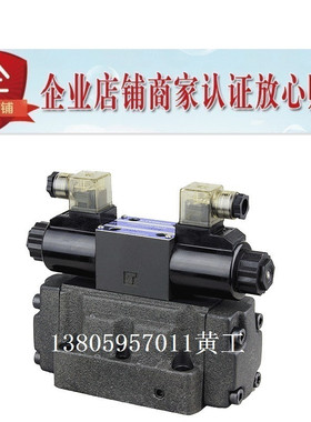 LITAND LYOUTIAN电磁阀SW-G06-C9B-A240-10/20 G04 D24 E ET G10