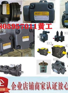 台湾凯嘉KCL叶片泵KT7DXW-X14-1R00 X17 X20 X24 X28 X31 X35 X38