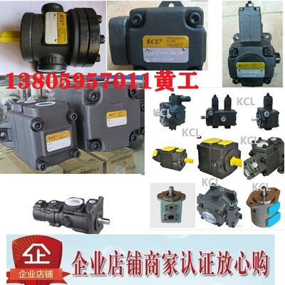 台湾凯嘉KCL叶片泵KT7DXW-X14-1R00 X17 X20 X24 X28 X31 X35 X38