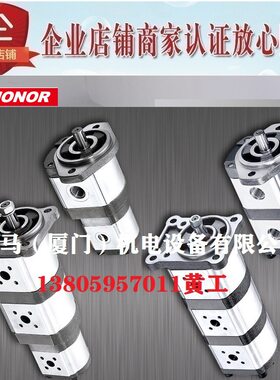 台湾钰盟HONOR双联齿轮泵2DG1BP1604R 1605 1606 1607 1608 1609