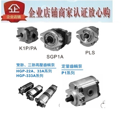 康百世朝田RISUNY高压齿轮泵P22110701R P22110901R P22111101R