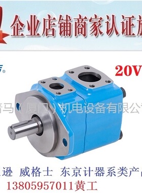 台湾NVICKS威克斯叶片泵20VQ14A-1A30R 20VQ12A 20VQ11A 20VQ10A