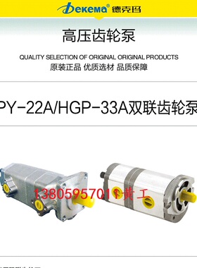 Dekema双联齿轮泵GPY-22A-F1717R F1919R F2323R F2525R F2828R