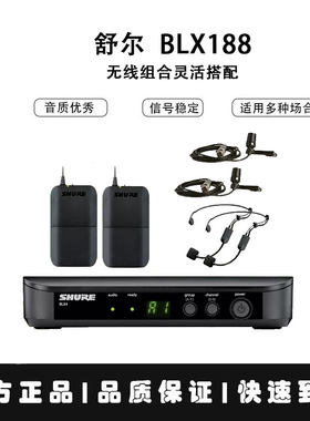 一拖二无线双领夹胸麦