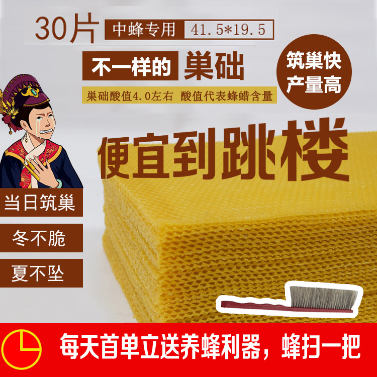 蜜蜂中蜂深房巢础片特级意蜂槽楚正品巢基片房眼养蜂工具蜂巢脾蜡