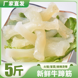 牛蹄筋新鮮副筋水發牛副筋冒菜串串食材餐飲火鍋牛雜牛副鹵煮食材