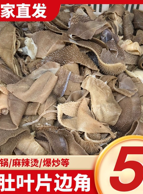 毛肚边角料商用食材新鲜牛百叶