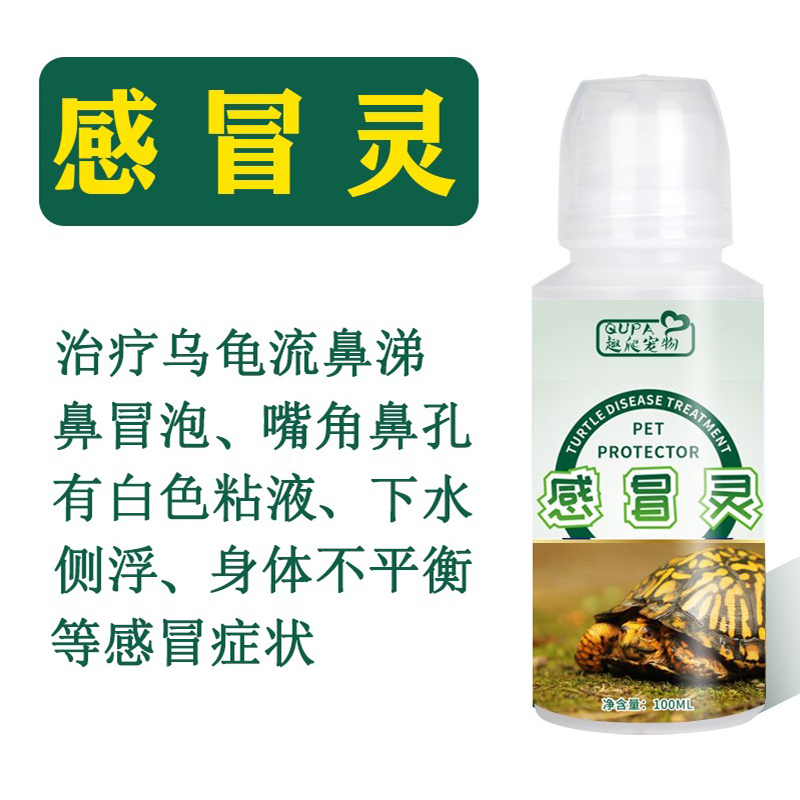 乌龟专治感冒下水侧浮流鼻涕