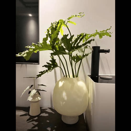 水培插花加厚大口径花瓶摆件法式