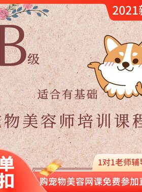 B级宠物美容师培训课程