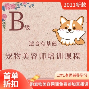 B级宠物美容师培训课程