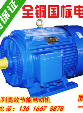 全铜三相异步电动机11/15/18.5/22/30/37/55千瓦45KW国标380V电机