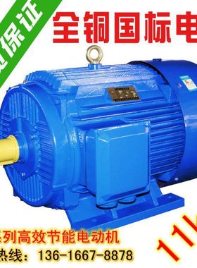 国标全新Y系列三相异步电机电动机Y160M 11KW千瓦2两级4四级6六级