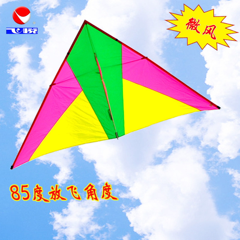 飞悦微风英雄2.2平易飞风筝成人大型三角新款长尾专业初学者风筝