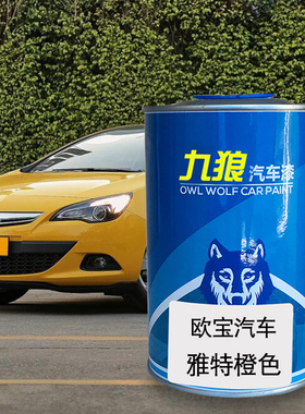 九狼欧油漆宝Adam紫色金属银汽车翻新改色成品漆晴空蓝雅特橙色