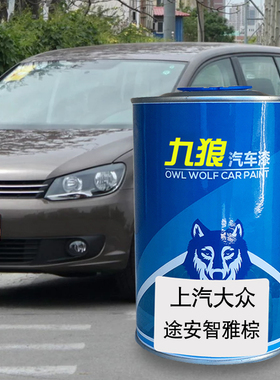 九狼汽车漆大成品众改色喷烤途漆安昂智雅棕智瑞金冰川白炽焰橙色