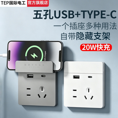 国际电工86型USB+Type-C插座20W
